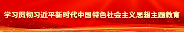 欧美肏免费看学习贯彻习近平新时代中国特色社会主义思想主题教育